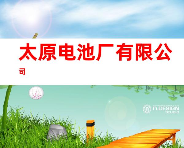 太原电池厂有限公司
